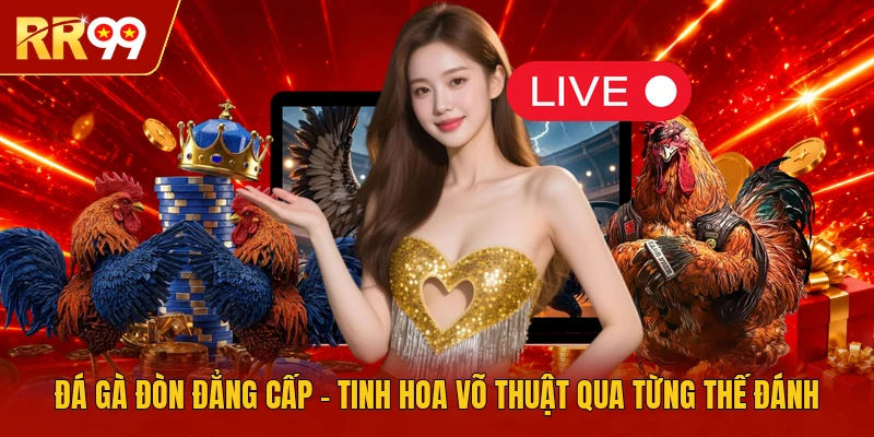 Đá Gà Đòn Đẳng Cấp - Tinh Hoa Võ Thuật Qua Từng Thế Đánh