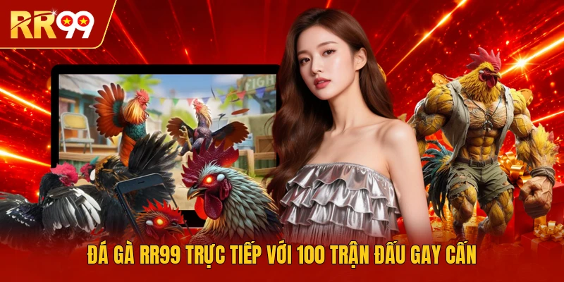 Đá gà RR99 trực tiếp với 100 trận đấu gay cấn