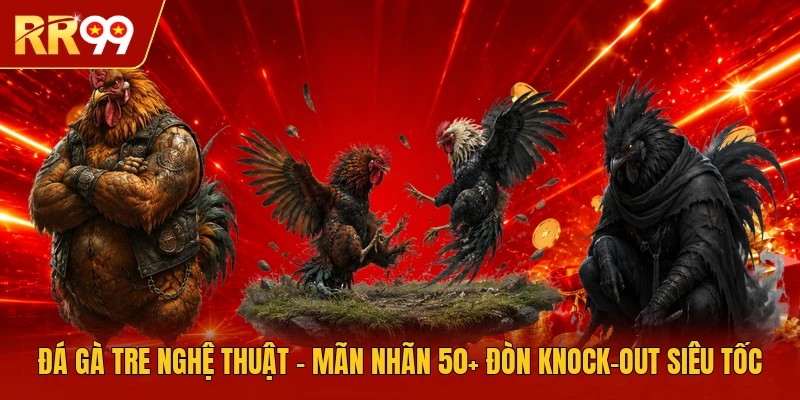 Đá Gà Tre Nghệ Thuật - Mãn Nhãn 50+ Đòn Knock-Out Siêu Tốc