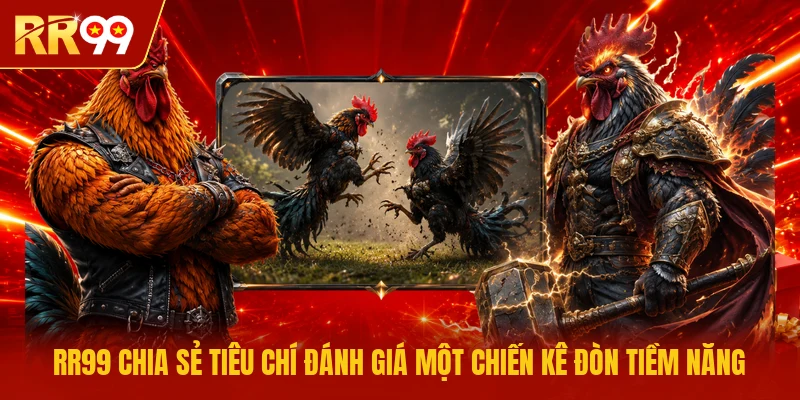 RR99 chia sẻ tiêu chí đánh giá một chiến kê Đòn tiềm năng 